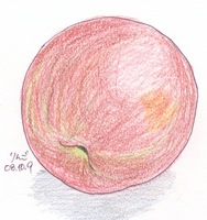 りんご.jpeg